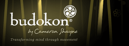 Budokon "Transforming mind through movement"